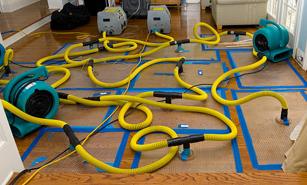 Professional Water Extraction technician working in Troy, PA